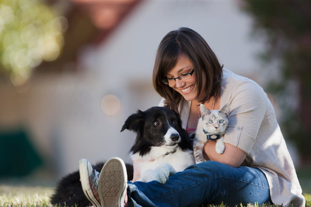 Invisible Fence Blog Subscribe for Pet Tips